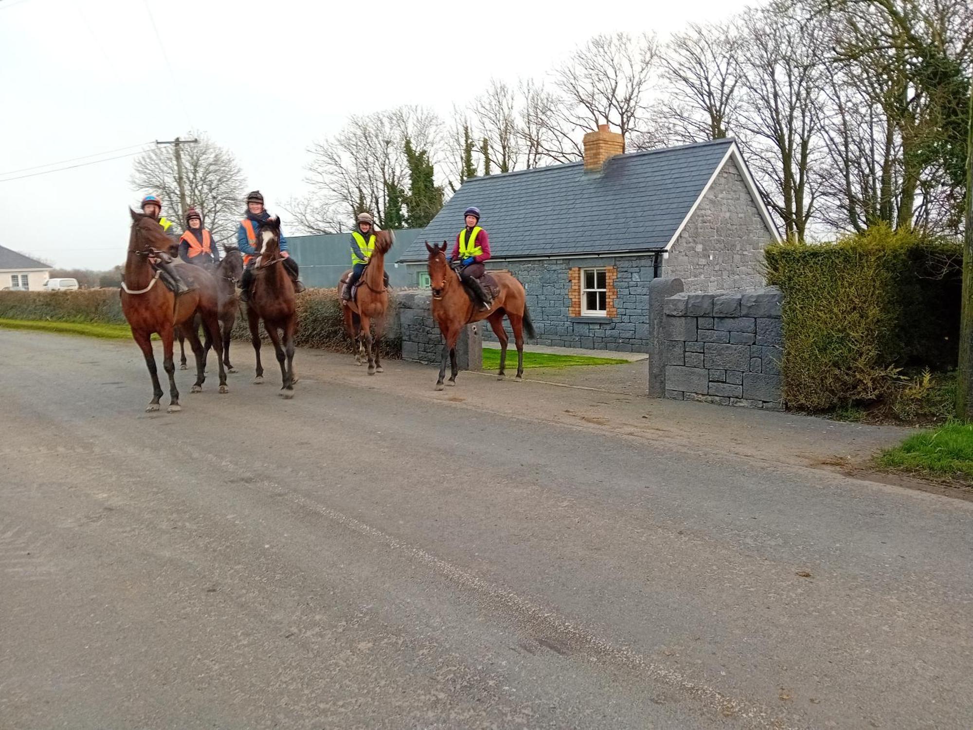 Fenniscourt Cottage Carlow Exterior foto